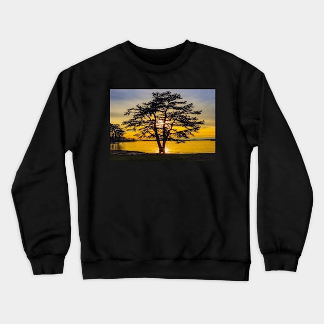 Golden Tree Crewneck Sweatshirt by Ckauzmann